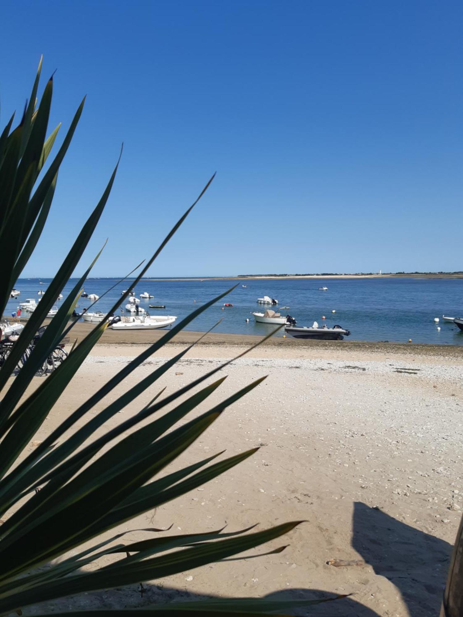 Maison De Vacances Entiere A 10 Mn De La Rochelle Dompierre-sur-Mer Exterior foto